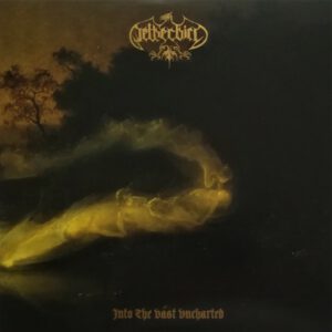 Into The Vast Uncharted
