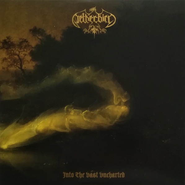 Into The Vast Uncharted