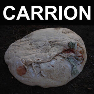 Carrion