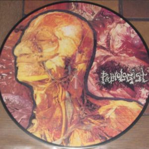 Putrefactive And Cadaverous Odes About Necroticism