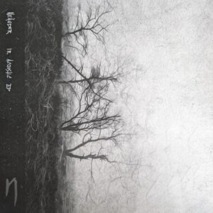 ir acoustic ep