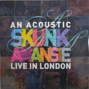 An Acoustic Skunk Anansie Live In London