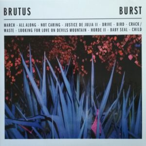 Burst