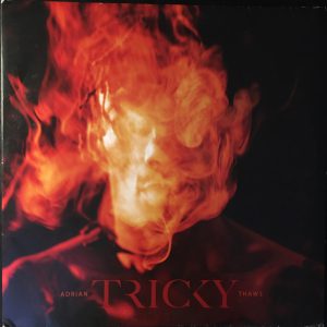 Tricky ‎– Adrian Thaws