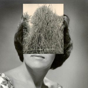 Crash Normal ‎– Your Body Got A Land